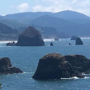 Meet your Posher, Bill